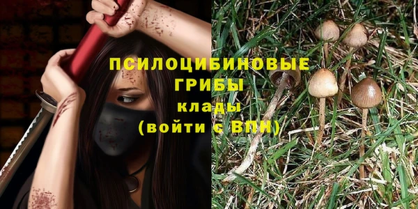 винт Кукмор